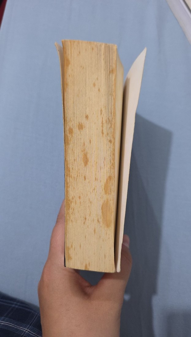 Başucumda Müzik - Kürşat Başar - Görsel 3