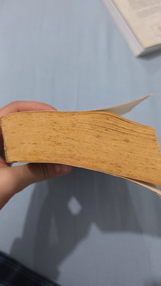 Başucumda Müzik - Kürşat Başar - Görsel 4