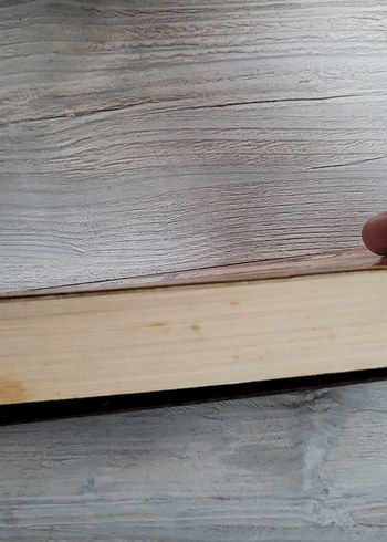 Şaheser - Elise Broach Mizahi Kitap - Görsel 5