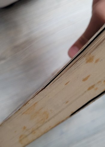 Şaheser - Elise Broach Mizahi Kitap - Görsel 6