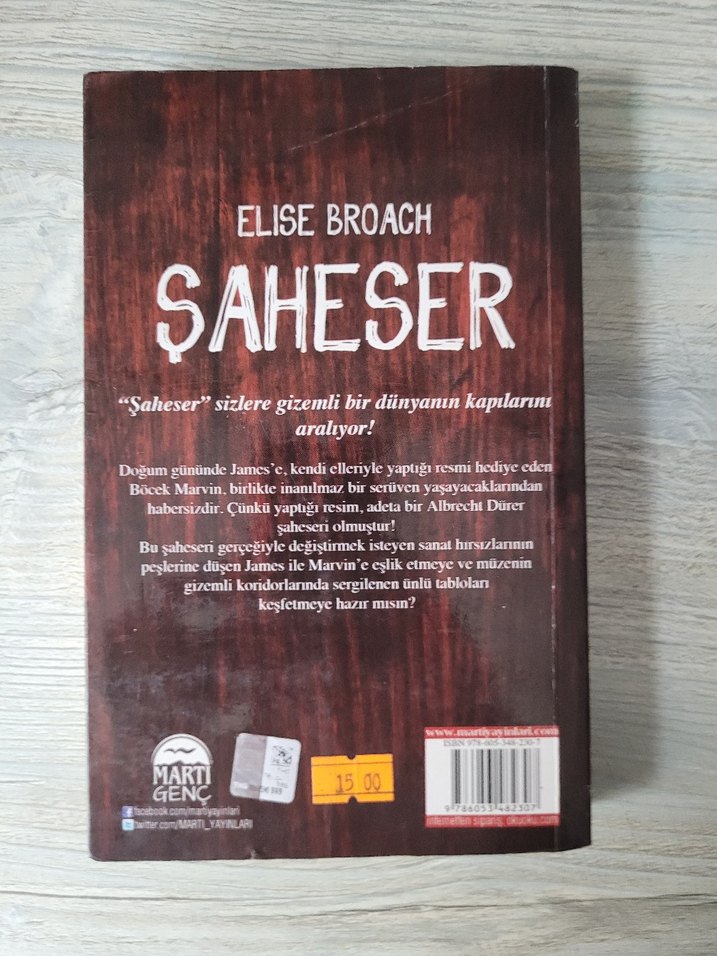Şaheser - Elise Broach Mizahi Kitap - Görsel 2