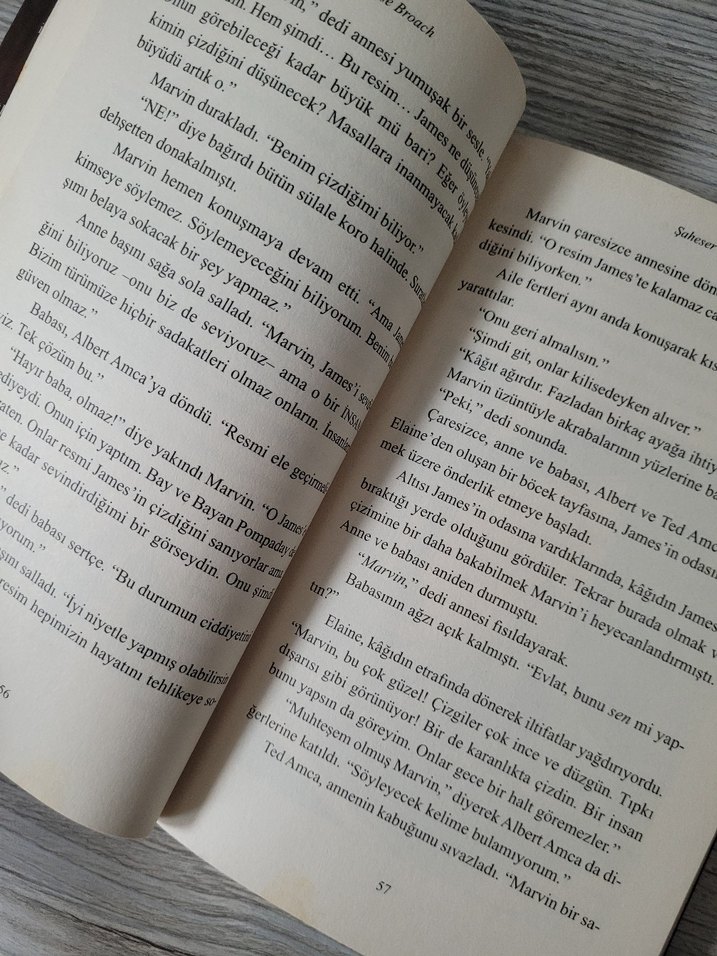 Şaheser - Elise Broach Mizahi Kitap - Görsel 3