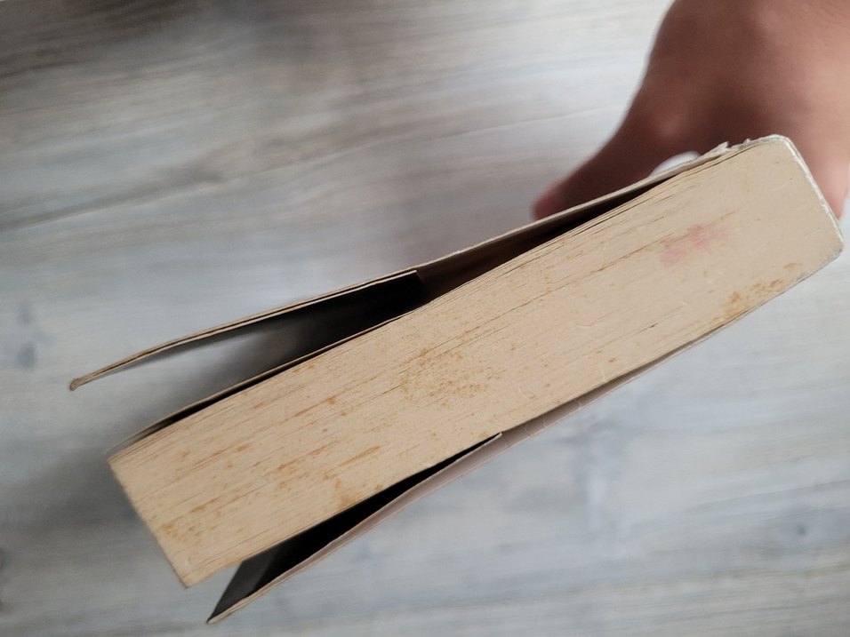 Şaheser - Elise Broach Mizahi Kitap - Görsel 4