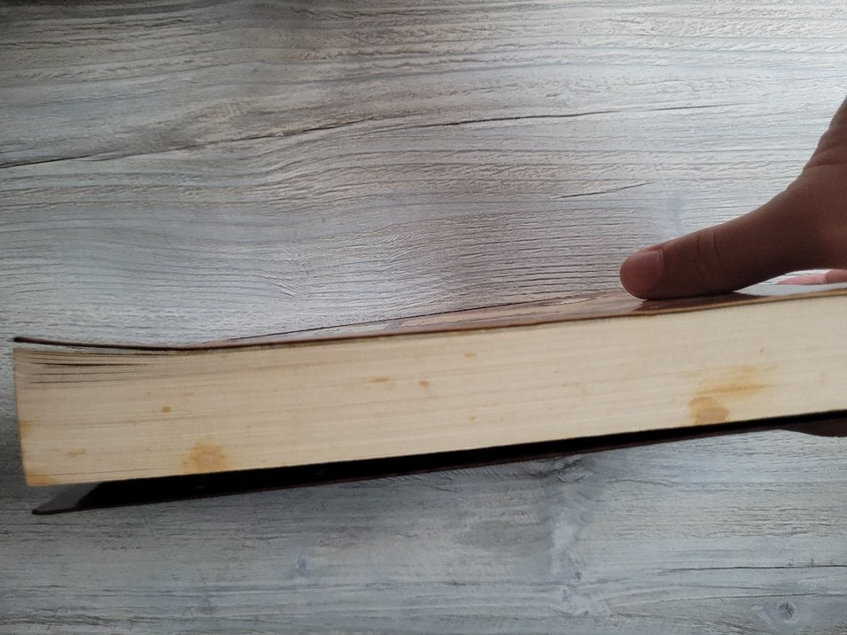 Şaheser - Elise Broach Mizahi Kitap - Görsel 5