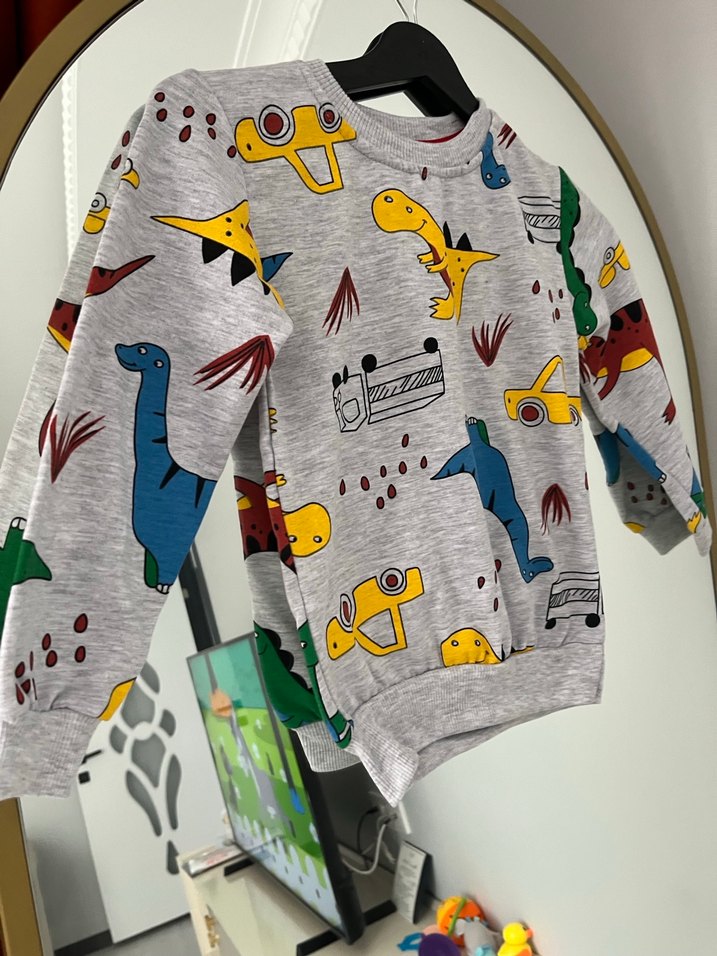 Gri Erkek Çocuk Dinozor Desenli Sweatshirt - Görsel 2