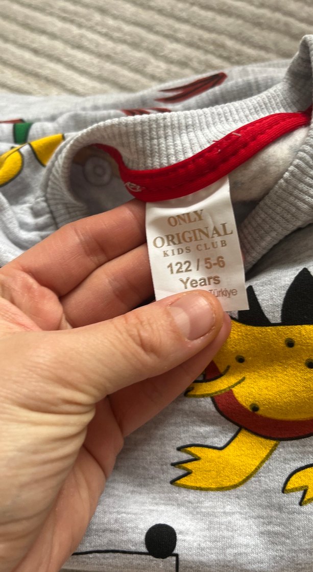 Gri Erkek Çocuk Dinozor Desenli Sweatshirt - Görsel 5