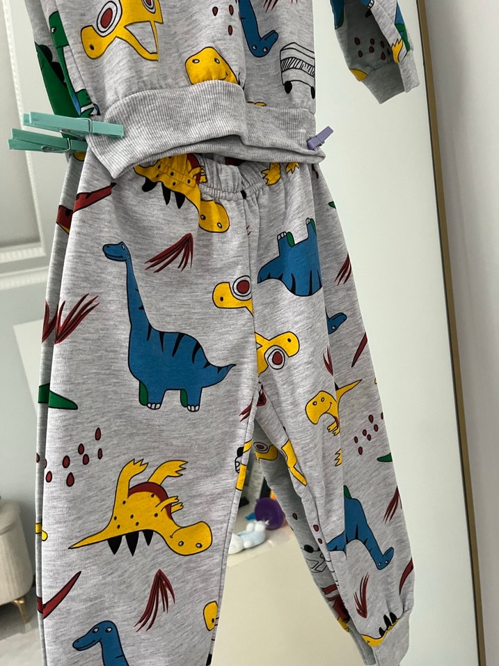 Gri Erkek Çocuk Dinozor Desenli Sweatshirt - Görsel 4