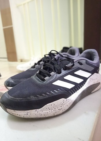 Adidas 43
