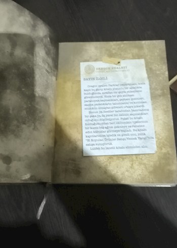 Beden Altın Renkli Günlük Defter 3