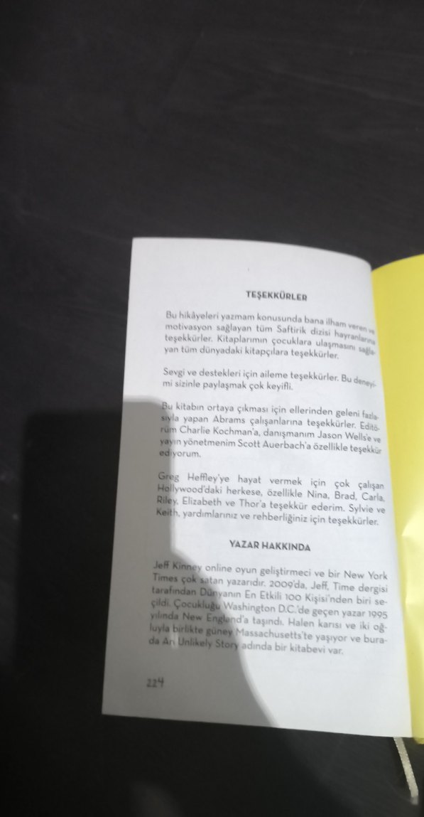 Saftirik Greg'in Günlüğü: İşte Şimdi Yandık! - Görsel 4