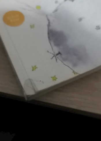 Küçük Prens - Antoine de Saint-Exupéry - Görsel 7