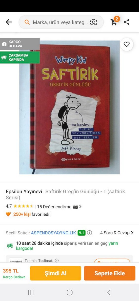 Wimpy Kid Saftirik Greg'in Günlüğü Kitabı - Görsel 4