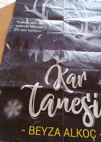  Beden Renk kar tanesi- Roman