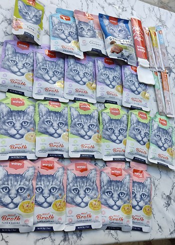 Wanpy Kedi Çorbası