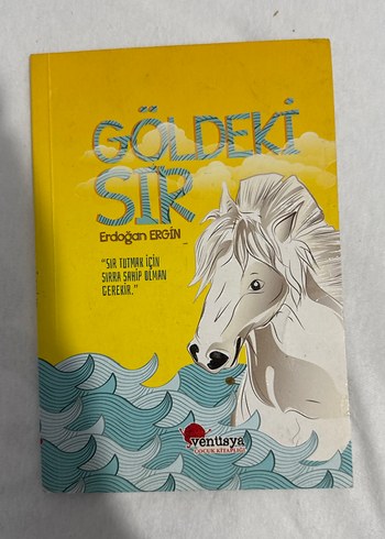 Gölde Sır - Erdoğan Ergin