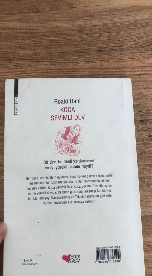 Roald Dahl - Koca Sevimli Dev Çocuk Kitabı - Görsel 3
