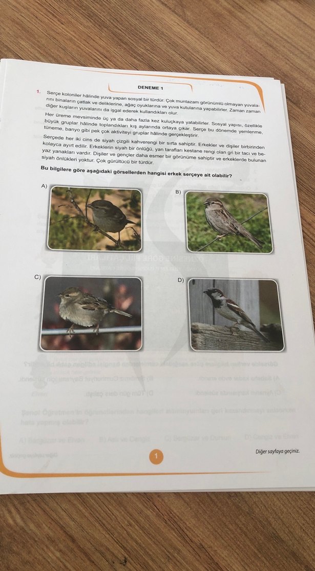 8. Sınıf Beş Türkçe Deneme Kitabı - Görsel 2