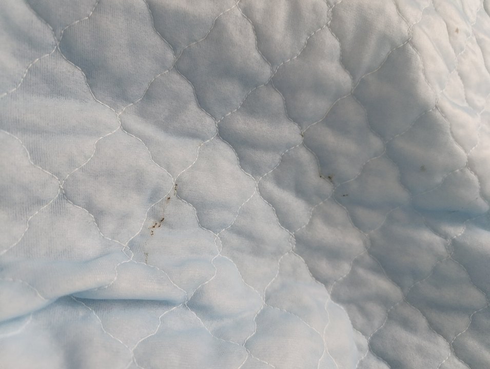 Pastel Mavi Düz Yatak Örtüsü - Görsel 4