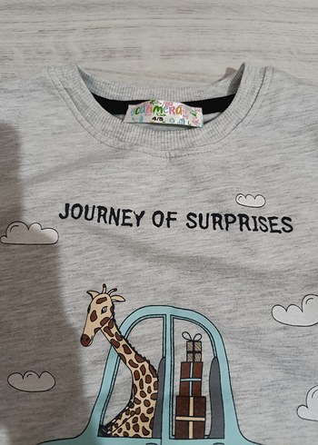 Gri Erkek Çocuk Baskılı Sweatshirt - Görsel 2