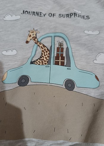 Gri Erkek Çocuk Baskılı Sweatshirt - Görsel 3