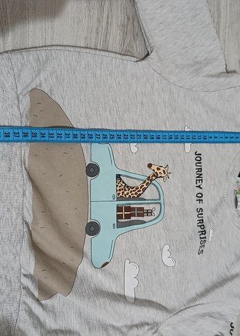 Gri Erkek Çocuk Baskılı Sweatshirt - Görsel 5