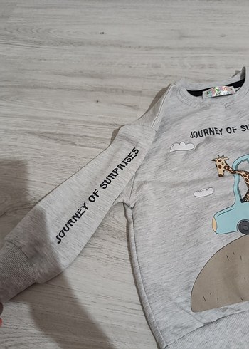 Gri Erkek Çocuk Baskılı Sweatshirt - Görsel 4