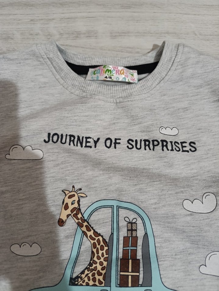 Gri Erkek Çocuk Baskılı Sweatshirt - Görsel 2