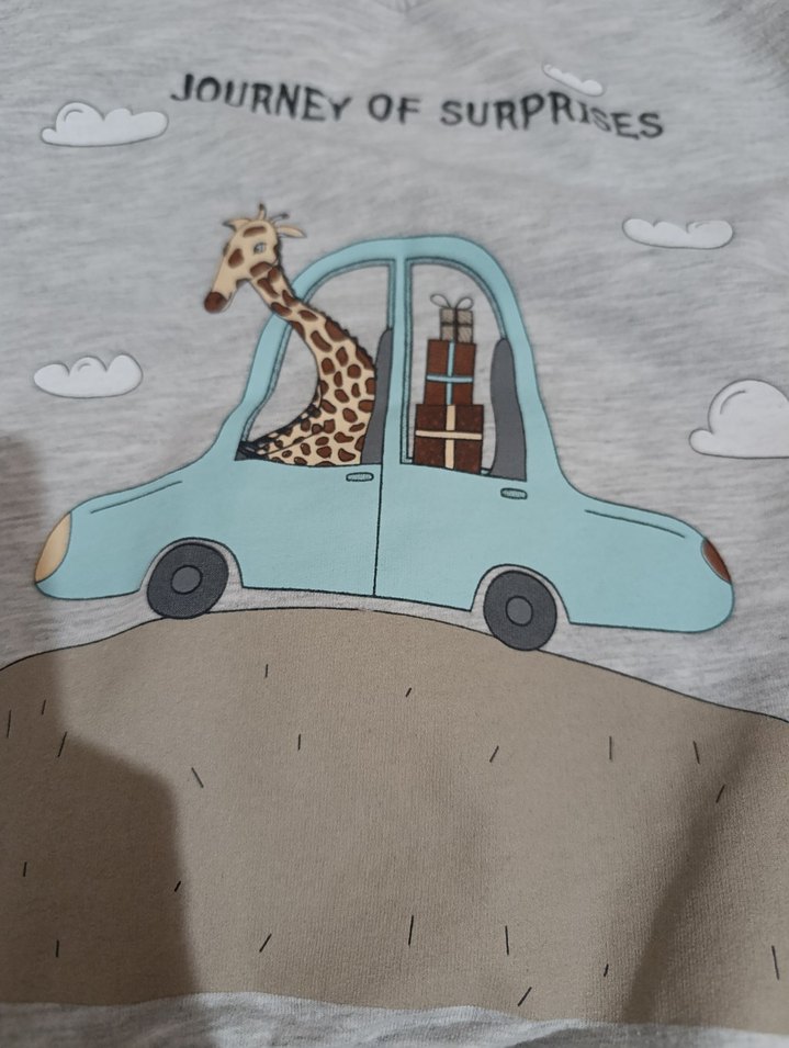 Gri Erkek Çocuk Baskılı Sweatshirt - Görsel 3