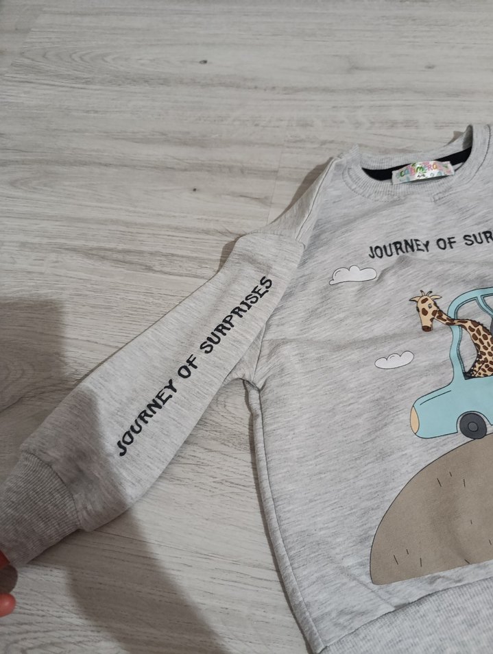 Gri Erkek Çocuk Baskılı Sweatshirt - Görsel 4