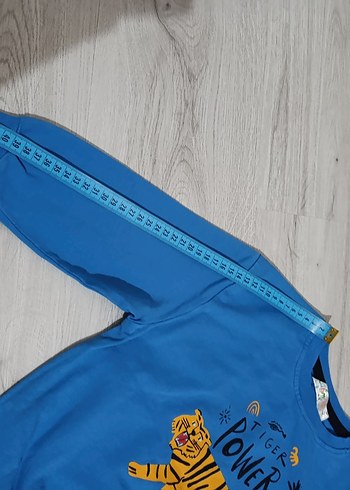 Mavi Baskılı Erkek Çocuk Sweatshirt - Görsel 4