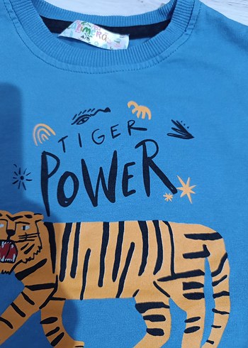 Mavi Baskılı Erkek Çocuk Sweatshirt - Görsel 6