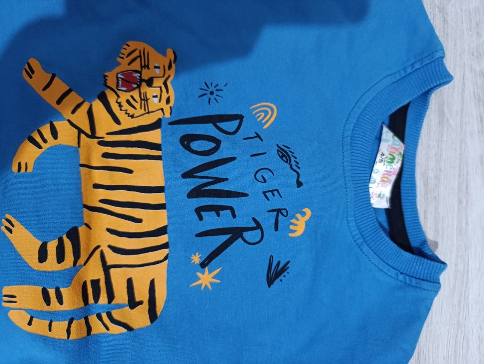 Mavi Baskılı Erkek Çocuk Sweatshirt - Görsel 2