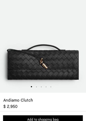 Bottega Veneta Kadın El Çantası - Görsel 19