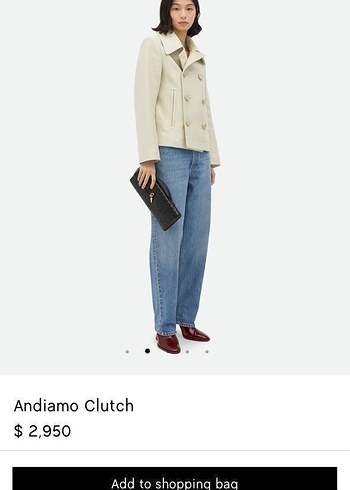 Bottega Veneta Kadın El Çantası - Görsel 20