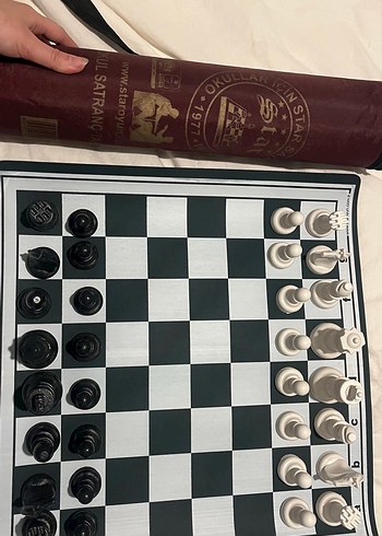 Beyaz-Siyah Satranç Takımı - Görsel 4