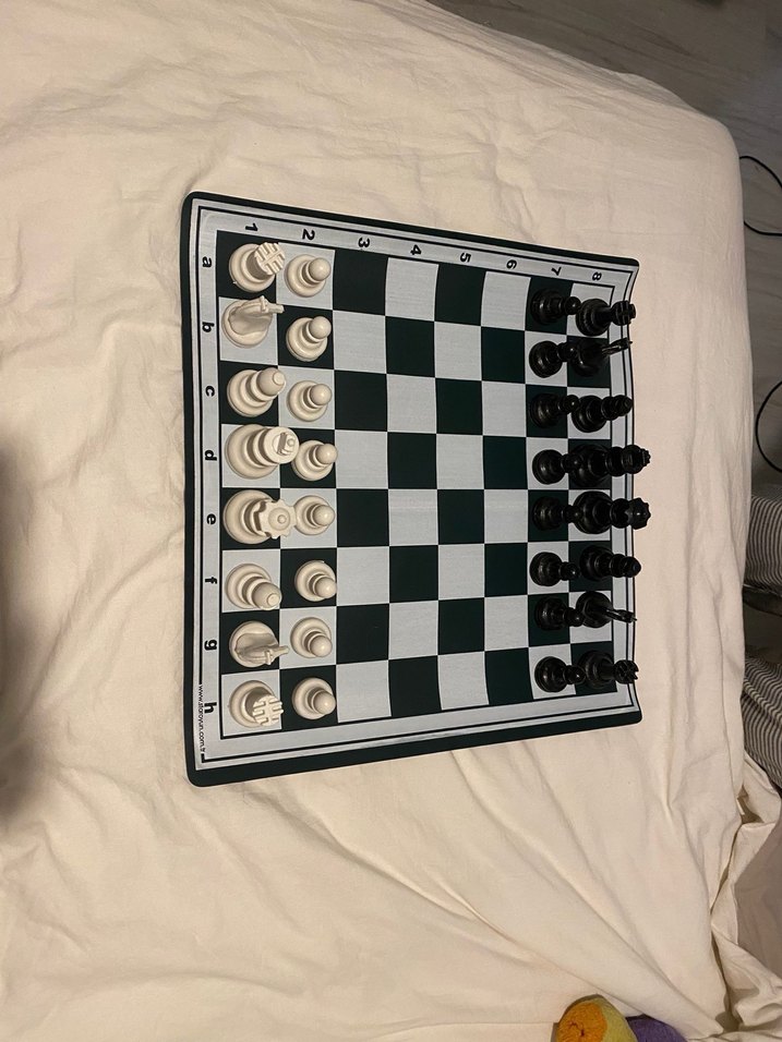 Beyaz-Siyah Satranç Takımı - Görsel 2