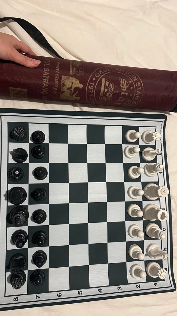 Beyaz-Siyah Satranç Takımı - Görsel 4