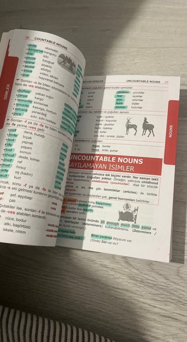 İngilizce Dilbilgisi A'dan Z'ye - B. Orhan Doğan - Görsel 2