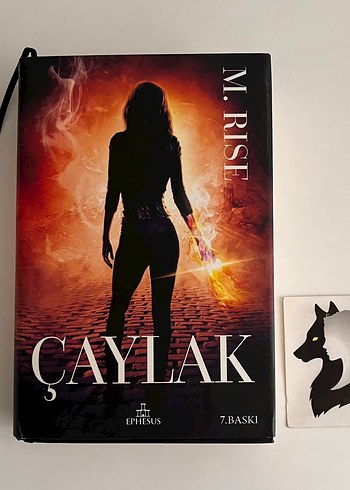 Çaylak - M. RISE