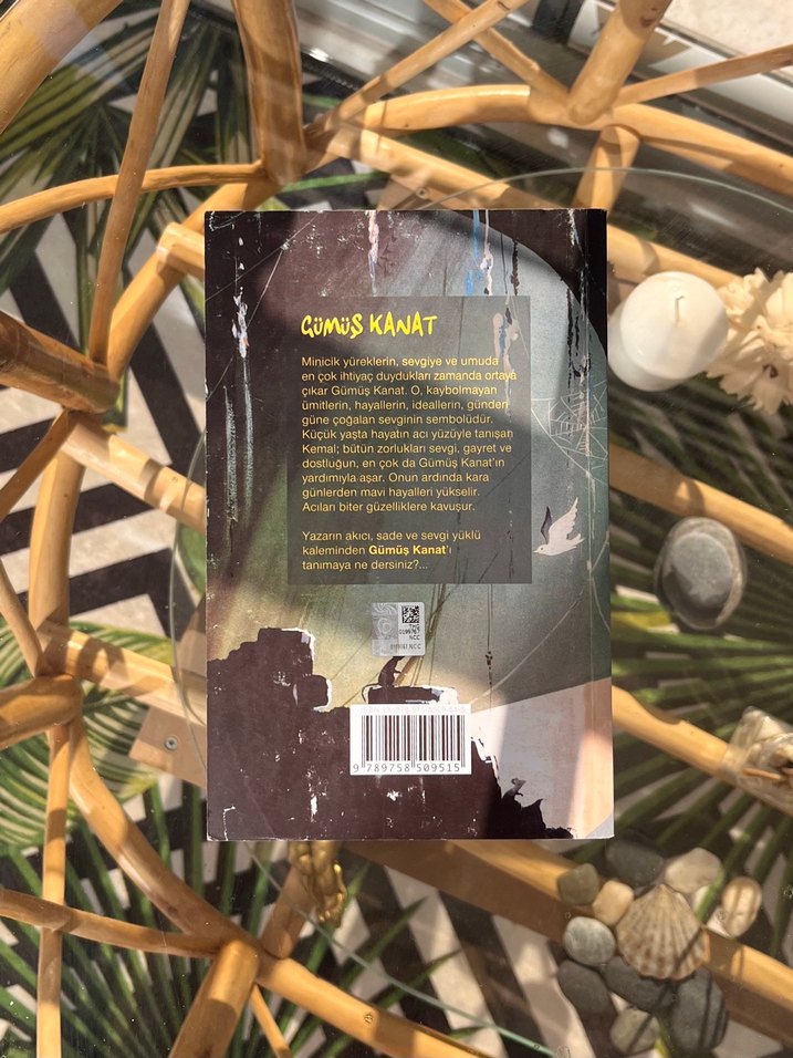 Gümüş Kanat - Cahit Uçuk - Görsel 2