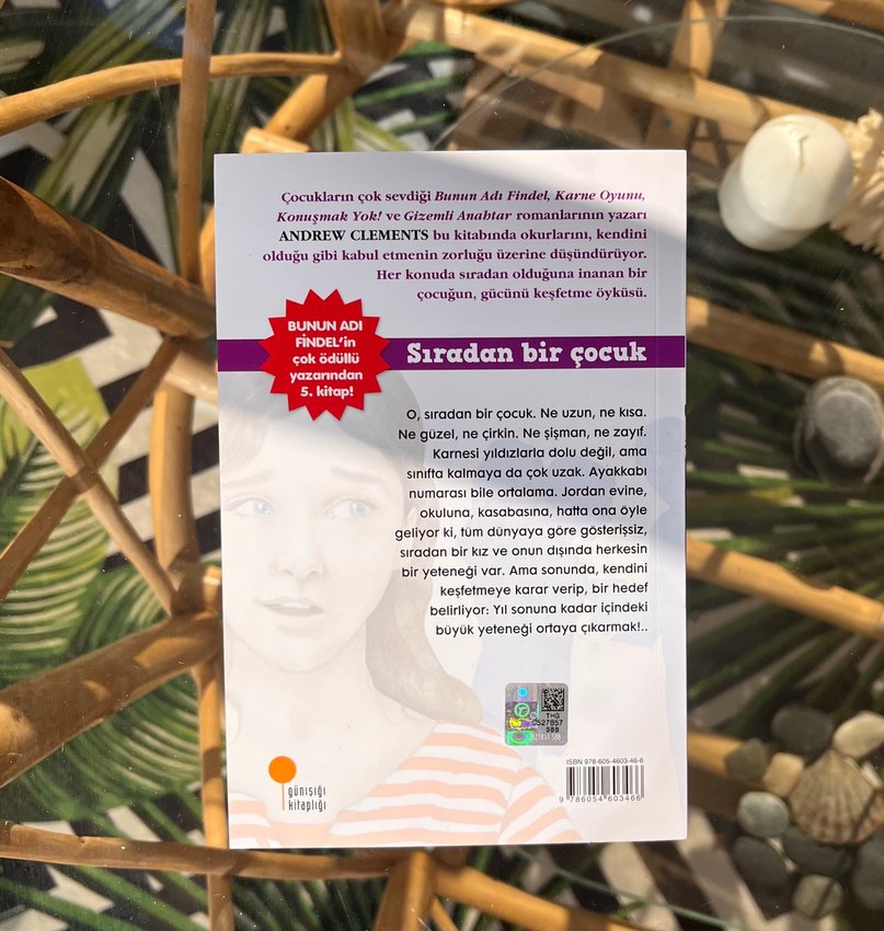 Sıradan Bir Çocuk - Andrew Clements - Görsel 2