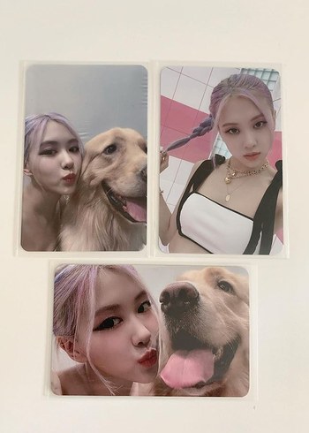 Rose hylt 3lü photocard