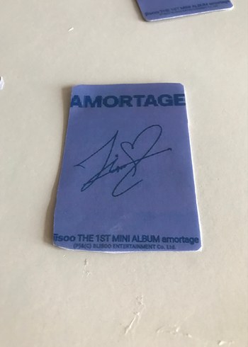 diğer Beden mor Renk Jisoo Amortage pc