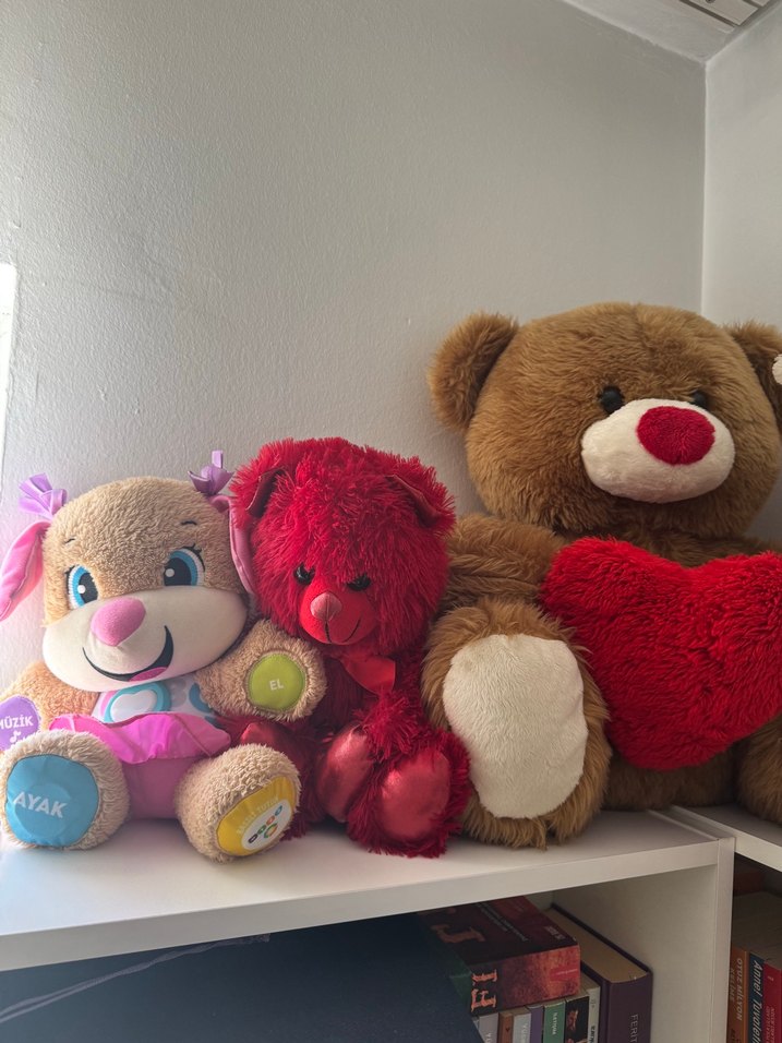 Fisher price Renkli Eğitici Peluş Oyuncak Köpek - Görsel 2