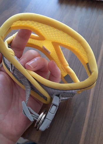 Sarı Kedi/Köpek Tasması