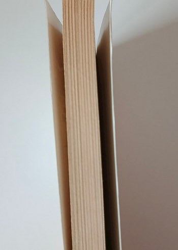 Müsait Bi Yerde Gülecek Var! - Mine Sota - Görsel 3