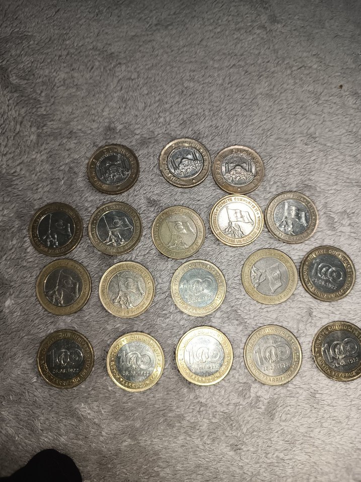 Gri Erkek Rozeti - Görsel 4