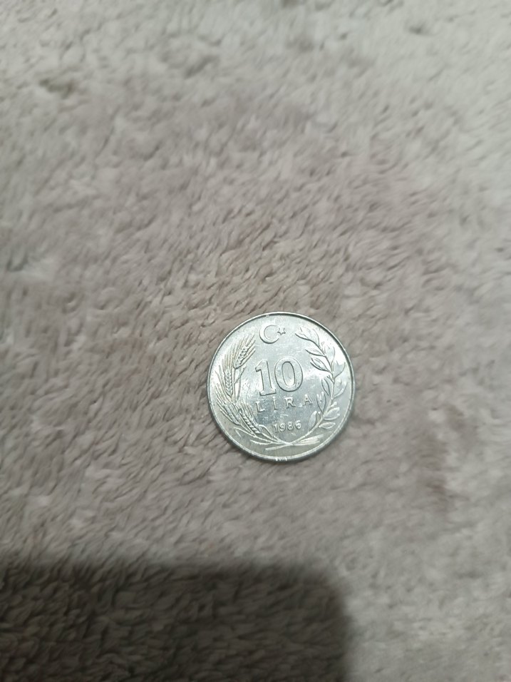 Gri Erkek Rozeti - Görsel 2