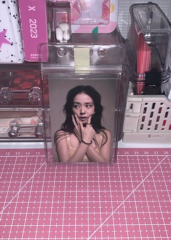 Pc holder + rosie (random)
