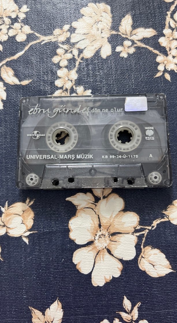 Ebru Gündeş - Dön Ne Olur Kaset NOSTALJİK - Görsel 2